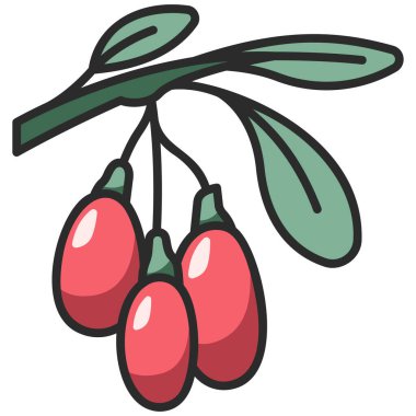 meyve ikonu. Vektör çizimi. Goji üzümü