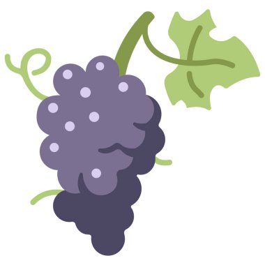 meyve ikonu. Vektör çizimi. üzümler