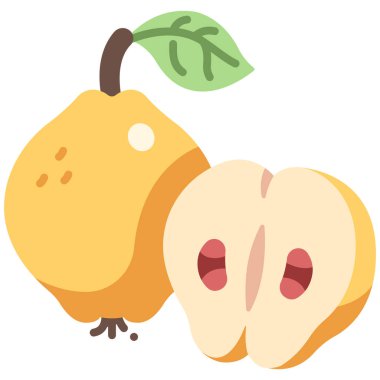 meyve ikonu. Vektör çizimi. Ayva