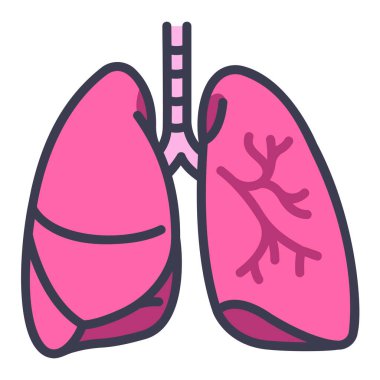 İnsan vücudu ikonu, vektör çizimi. akciğerler
