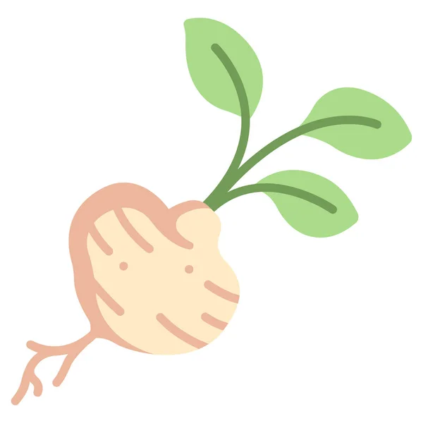 Jicama Vector Art Stock Images Depositphotos