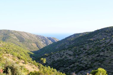 Hırvatistan 'ın Hvar Adası' nda Tepeli Doğa