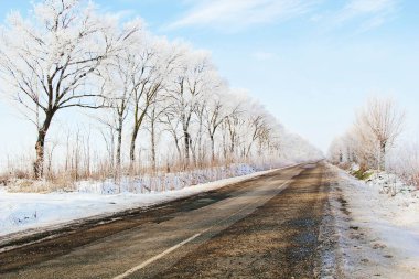 Karlı Beyaz Ağaçlar Manzaralı Kış Yolu