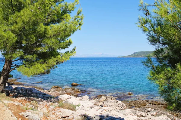 Hoş Hvar Adası Hırvatistan Yaz Doğal Arazi Manzarası Jelsa 'da Mavi Deniz Suyu