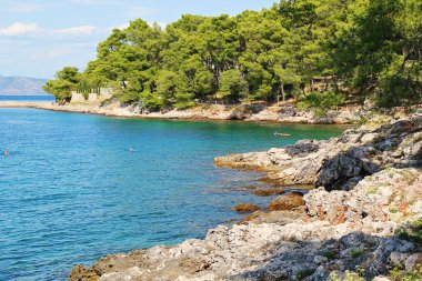 Jelsa, Hırvatistan - 23 Ağustos 2025: Hırvatistan Yeşil Doğa ve Mavi Deniz ve Rocky Sahil Manzarası