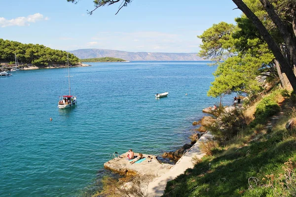 Jelsa, Hırvatistan - 23 Ağustos 2025: Mavi Gök ve Su, Yeşillik, Tekneler ve İnsanlar Güneşlenirken Hırvatistan Doğa Sahası