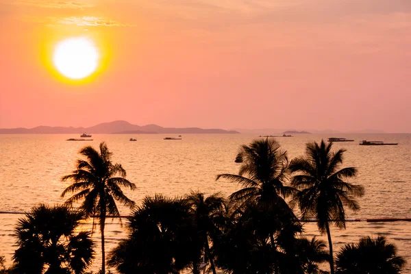 Silhouettes of palm trees — Stock Photo, Image