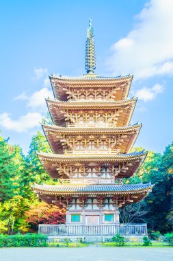 Güzel Daigoji Tapınağı