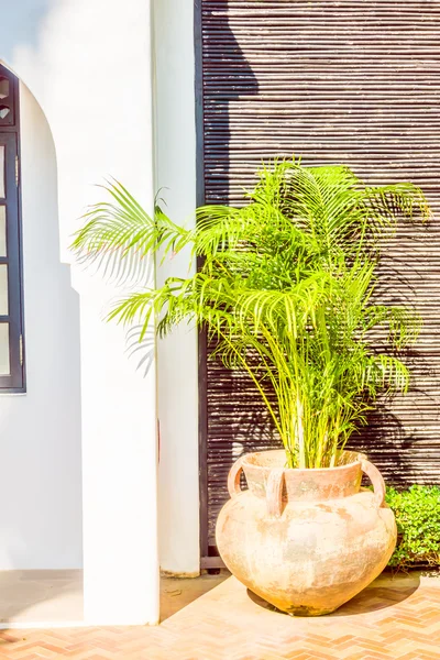 Vaso Planta decoração exterior — Fotografia de Stock