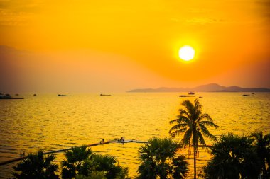 ve palmiye ağaçlarının Silhouettes