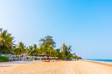 Sahilde güzel palmiye ağaçları