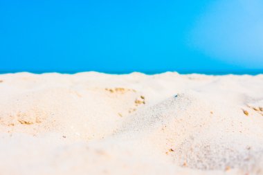 Güzel tropikal deniz ve plaj