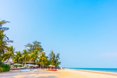 Sahilde güzel palmiye ağaçları