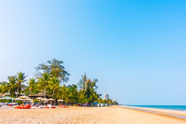 Sahilde güzel palmiye ağaçları