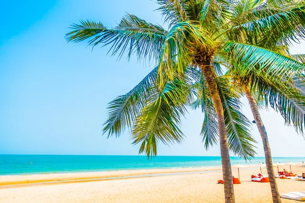 Belle palme sulla spiaggia — Foto Stock