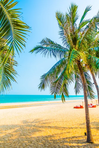 Prachtige palmbomen op het strand — Stockfoto