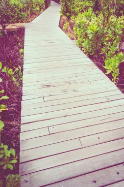 Eski ahşap yolu yürüyüş