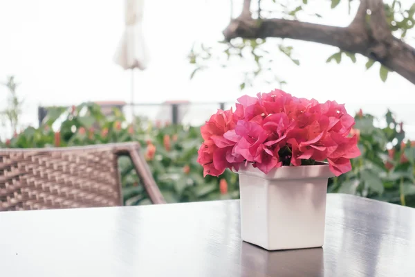 Bougainvillea flores en jarrón — Foto de Stock