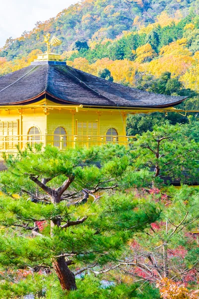 Golden pavillion in Kinkakuji Temple — Stock Photo, Image