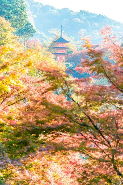 Kiyomizu Dera ναός στο Κιότο — Φωτογραφία Αρχείου