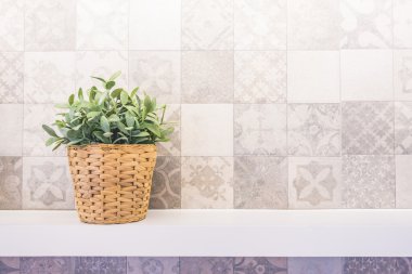 Vazo ve yeşil bitki