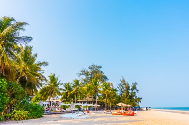 Sahilde güzel palmiye ağacı