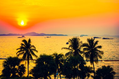 ve palmiye ağaçlarının Silhouettes