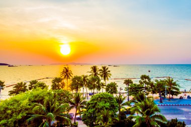 ve palmiye ağaçlarının Silhouettes