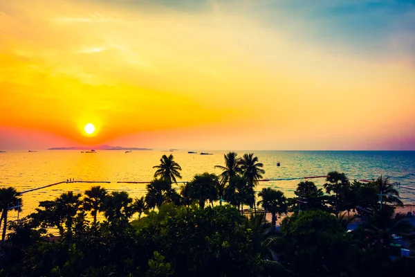 Silhouettes of palm trees — Stock Photo, Image