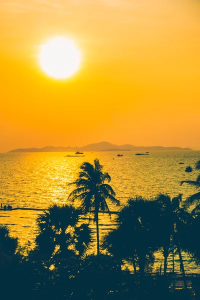 ve palmiye ağaçlarının Silhouettes