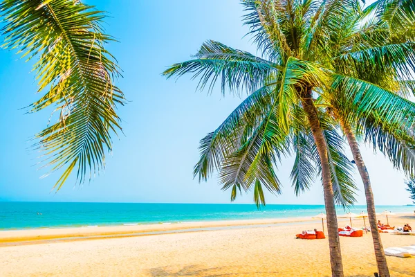 Hermosa palmera en la playa —  Fotos de Stock