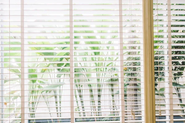 Blinds window decoration in living room