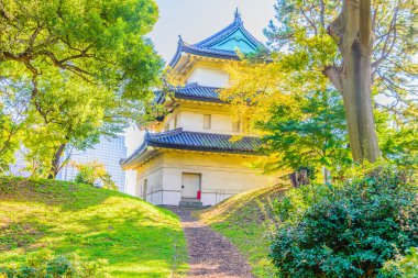 İmparatorluk Sarayı tokyo Japonya