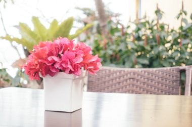 Bougainvillea çiçek vazosu