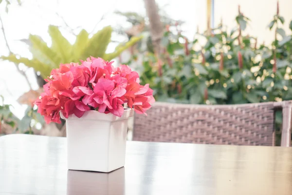 Bougainvillea flower in vase — Stock Photo, Image