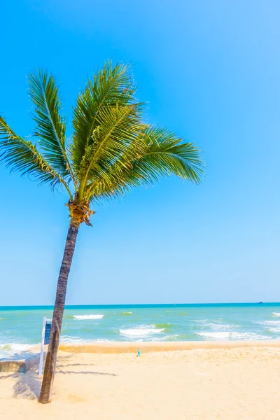Palmy na pláži — Stock fotografie