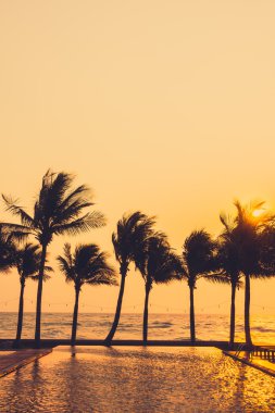 Ve plaj ve palmiye ağaçlarının Silhouettes
