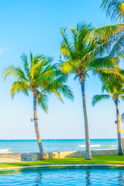 Güzel lüks otel yüzme havuzunda