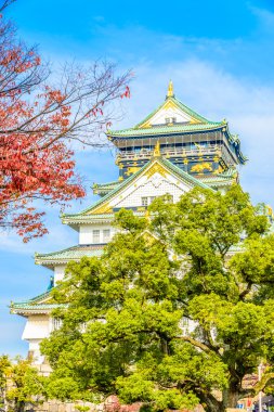 Güzel Osaka Kalesi