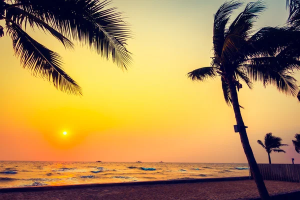Sziluettek pálmafák a strand és a tenger — Stock Fotó