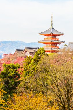 Kiyomizu dera Tapınağı Kyoto, Japonya