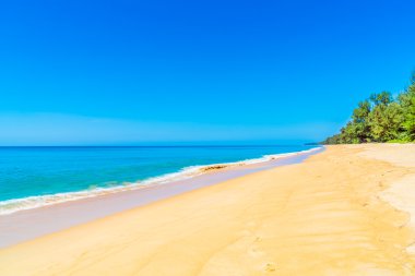 Güzel sahil ve deniz