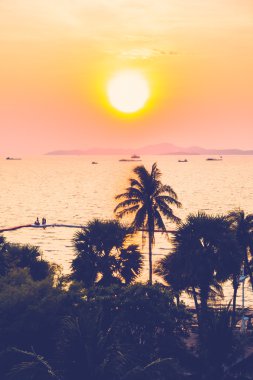 ve palmiye ağaçlarının Silhouettes