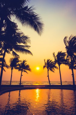 Gün batımı ile palmiye ağaçlarının Silhouettes