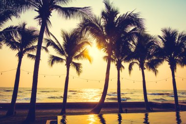Gün batımı ile palmiye ağaçlarının Silhouettes