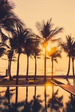 Gün batımı ile palmiye ağaçlarının Silhouettes