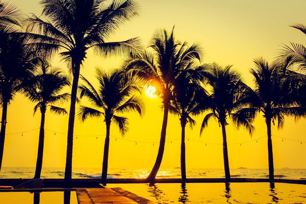 Silhouetten van palmbomen met zonsondergang — Stockfoto