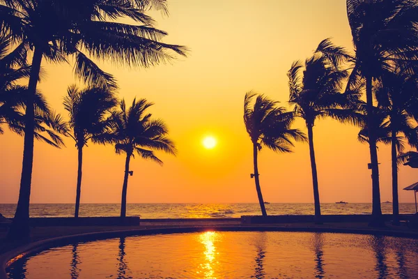 Silhouettes de palmiers avec coucher de soleil — Photo