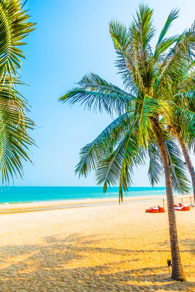 Hermosa palmera en la playa —  Fotos de Stock