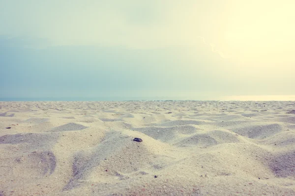 Όμορφη άδειο παραλία με άμμο και το θαλασσινό τοπίο — Φωτογραφία Αρχείου